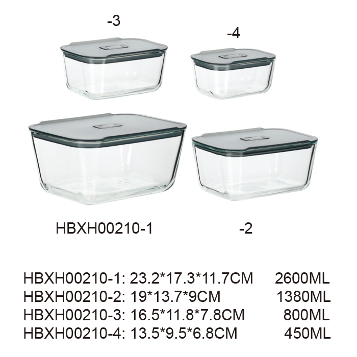 HBXH00210